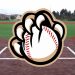 2024 : Les Cougars