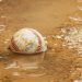 Play offs D1 D3 et intempéries.