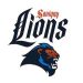 Les lions de Savigny