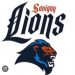 Coupe d’Europe : les lions en finale