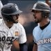 Baseblog : Finale D1